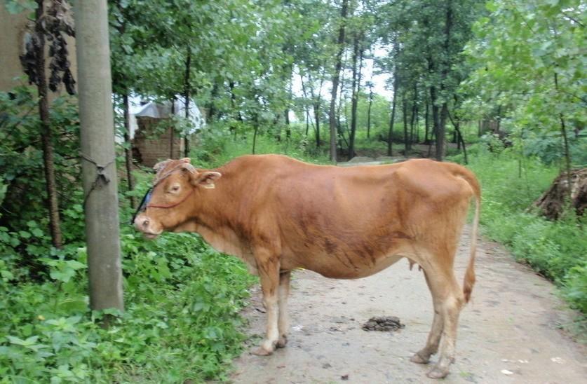 临海最新求一个套医保卡的黄牛是真的吗方法分析(最方便真实的临海求一个套医保卡的黄牛是真的吗还是假的方法)